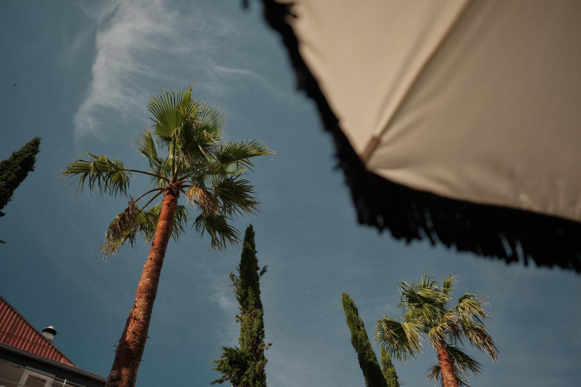 Ga Palace Hotel & Spa, A Xixth-Century Villa Porto Dış mekan fotoğraf Palm trees in the city